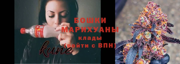 бошки Новозыбков