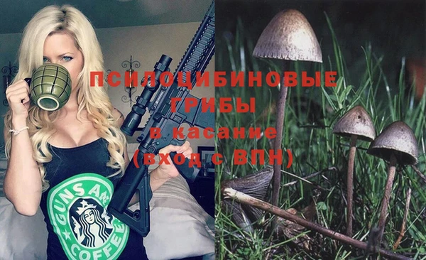 бошки Новозыбков