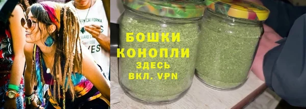 бошки Новозыбков