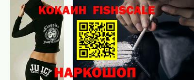 МДПВ Кингисепп