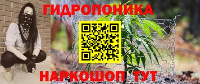 трава Кимры