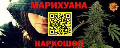 МДПВ Кингисепп