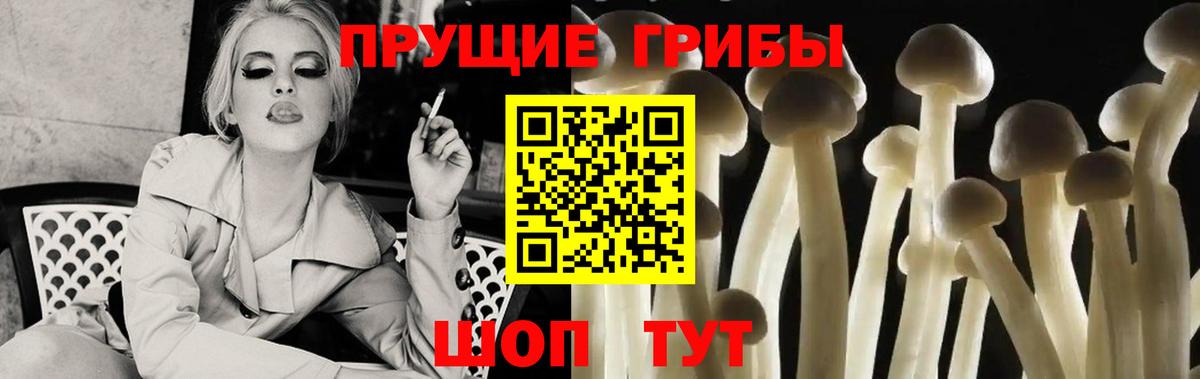 даркнет сайт  Псилоцибиновые грибы GOLDEN TEACHER  Сорочинск  Псилоцибиновые грибы MAGIC MUSHROOMS 