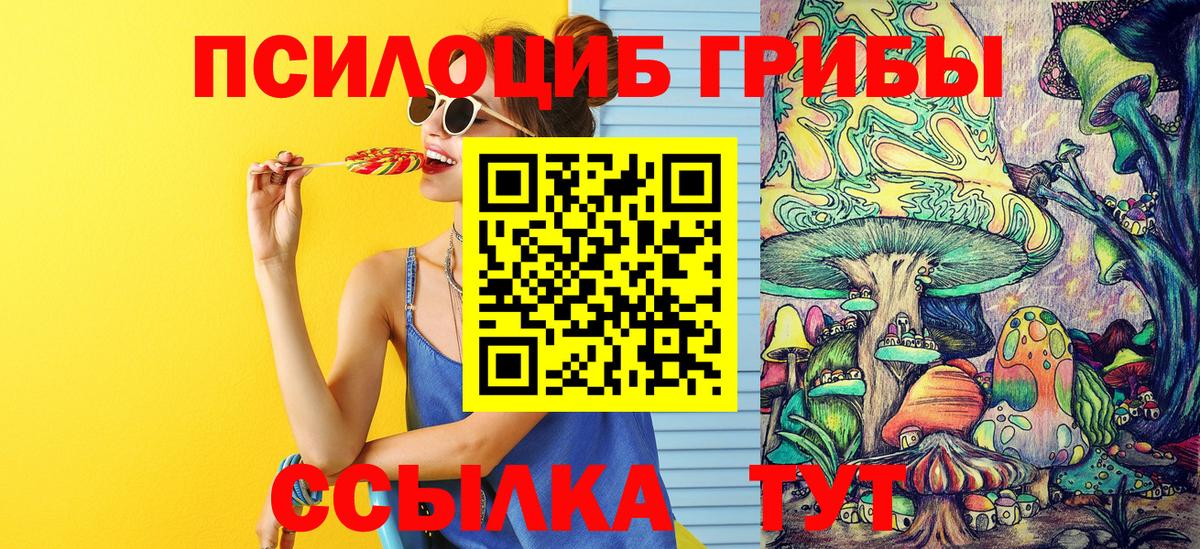 Сорочинск  Псилоцибиновые грибы Cubensis  Вход с VPN 