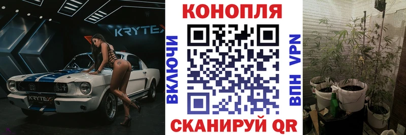 МАРИХУАНА план Сорочинск