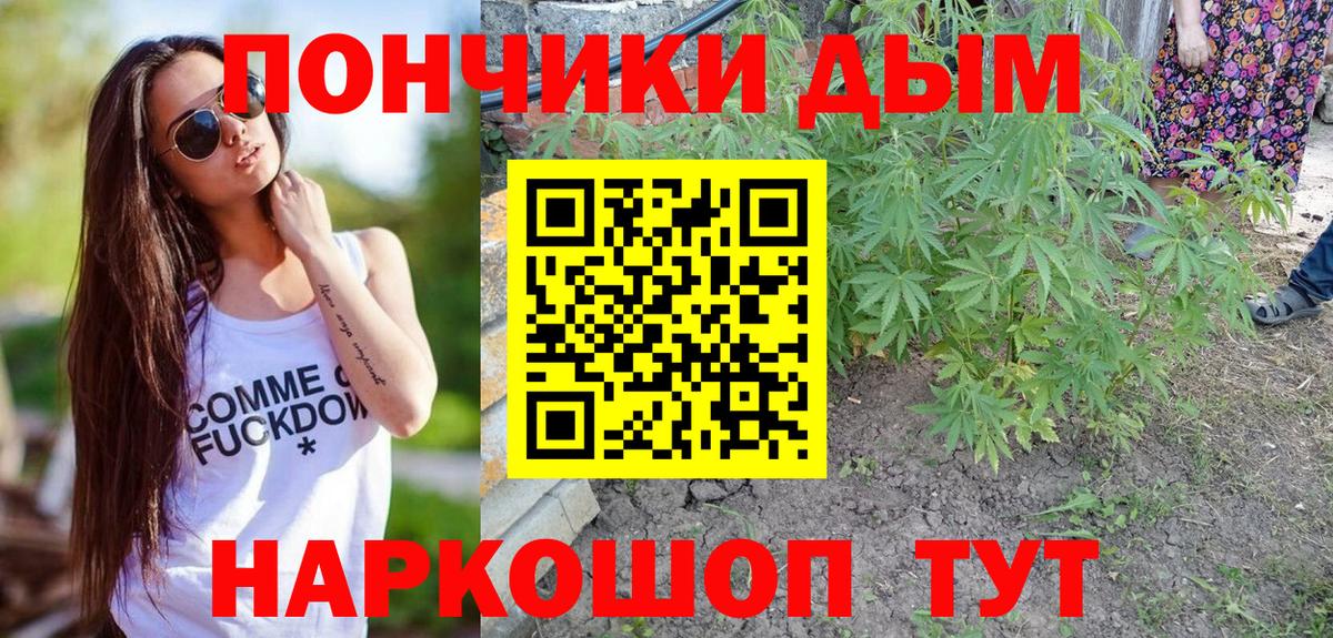 Бошки Шишки семена Сорочинск